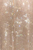 Crystelle Crystal One shoulder Gown - XS | NOJESSIA