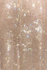 Crystelle Crystal One shoulder Gown NOJESSIA